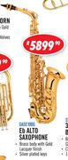 Sanchez Eb Alto Saxophone SASE100G