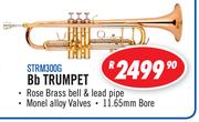 Sanchez BB Trumpet STRE300G