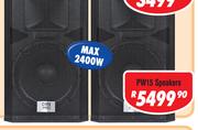 DXN Pro 15" DJ Speakers (Pair)