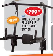 Wall Mounted Pull Up, Dip & Leg Raise Station 1681
