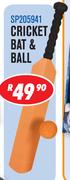 Cricket Bat & Ball SP205941
