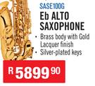 Sanchez Brass Instruments Eb Alto Saxophone SASE100G