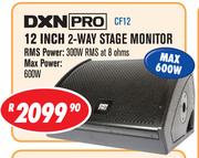DXN Pro 12 Inch 2-Way Stage Monitor