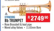 Sanchez Brass Instruments Bb Trumpet STRM300G