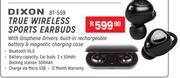 Dixon True Wireless Sports Earbuds BT-559