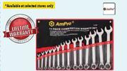 Ampro Combination Wrench Sets 14 Piece Set 10-32mm T41286