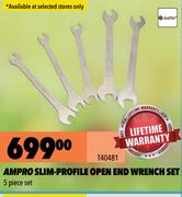 Ampro Slim Profile Open & Wrench Set T40481