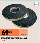 Autogear Weather Sealant 2 x 5cm WST001