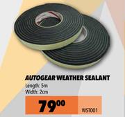 Autogear Weather Sealant WST001