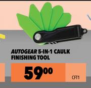 Autogear 5 In 1 Caulk Finishing Tool CFT1