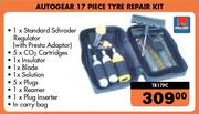 Autogear 17 Piece Tyre Repair Kit TR17PC