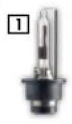 Lumin Xenon Universal Globes D2R 12V G66154M