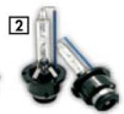 Lumin Xenon Universal Globes D2S 12V G66240M