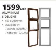 ROBMEG Steel Aluminium Sidelight-600 x 2100mm