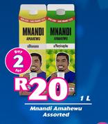 Mnandi Amahewu Assorted-For 2 x 1Ltr 