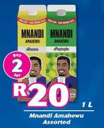 Mnandi Amahewu Assorted-For 2 x 1Ltr 