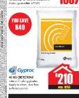 Gyproc 40Kg Rhinolite