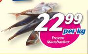 Frozen Maasbanker-Per kg