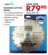 Chamber Value Diamond Cutting Wheel