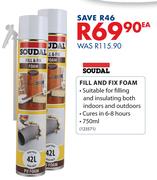 Soudal Fill And Fix Foam-750ml Each