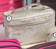 Glam Silver Sparkle Vanity Bag