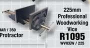 225mm Professional Woodworking Vice(WVICEW/225)