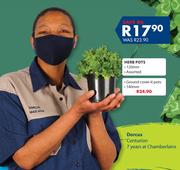 Herb Pots 120mm Assorted