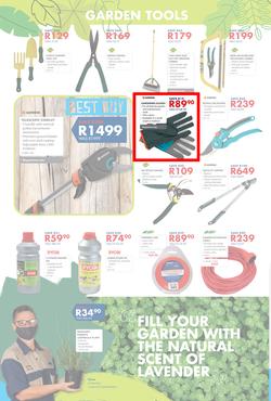 Chamberlains : Get Into Your Garden (17 August - 13 September 2020), page 2