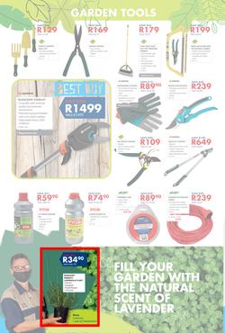 Chamberlains : Get Into Your Garden (17 August - 13 September 2020), page 2