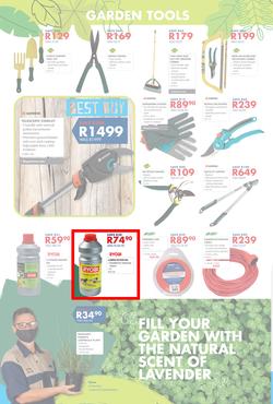 Chamberlains : Get Into Your Garden (17 August - 13 September 2020), page 2