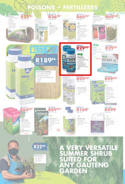 Chamberlains : Get Into Your Garden (17 August - 13 September 2020), page 4