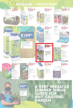 Chamberlains : Get Into Your Garden (17 August - 13 September 2020), page 4