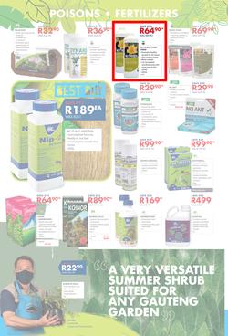Chamberlains : Get Into Your Garden (17 August - 13 September 2020), page 4