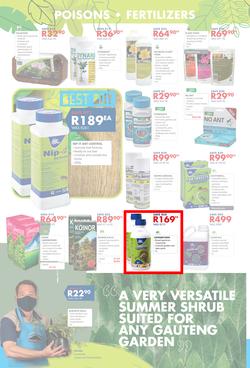 Chamberlains : Get Into Your Garden (17 August - 13 September 2020), page 4