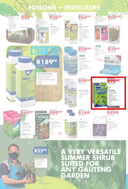 Chamberlains : Get Into Your Garden (17 August - 13 September 2020), page 4