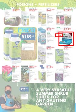 Chamberlains : Get Into Your Garden (17 August - 13 September 2020), page 4