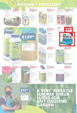Chamberlains : Get Into Your Garden (17 August - 13 September 2020), page 4