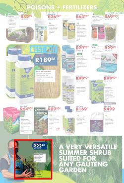 Chamberlains : Get Into Your Garden (17 August - 13 September 2020), page 4