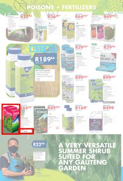Chamberlains : Get Into Your Garden (17 August - 13 September 2020), page 4