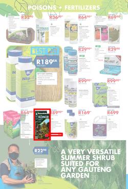 Chamberlains : Get Into Your Garden (17 August - 13 September 2020), page 4
