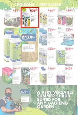 Chamberlains : Get Into Your Garden (17 August - 13 September 2020), page 4