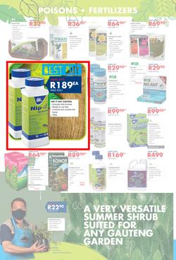 Chamberlains : Get Into Your Garden (17 August - 13 September 2020), page 4