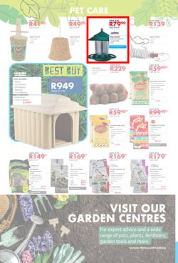 Chamberlains : Get Into Your Garden (17 August - 13 September 2020), page 8