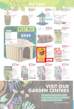 Chamberlains : Get Into Your Garden (17 August - 13 September 2020), page 8