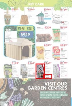 Chamberlains : Get Into Your Garden (17 August - 13 September 2020), page 8