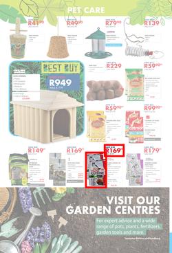 Chamberlains : Get Into Your Garden (17 August - 13 September 2020), page 8