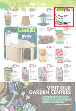 Chamberlains : Get Into Your Garden (17 August - 13 September 2020), page 8