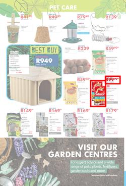 Chamberlains : Get Into Your Garden (17 August - 13 September 2020), page 8