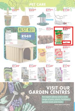 Chamberlains : Get Into Your Garden (17 August - 13 September 2020), page 8