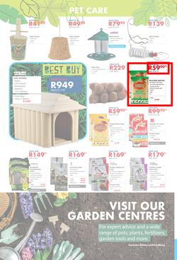 Chamberlains : Get Into Your Garden (17 August - 13 September 2020), page 8
